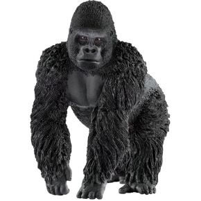 Image of Gorilla Männchen