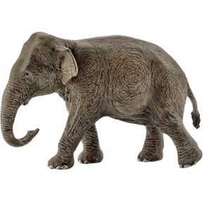 Image of Asiatische Elefantenkuh