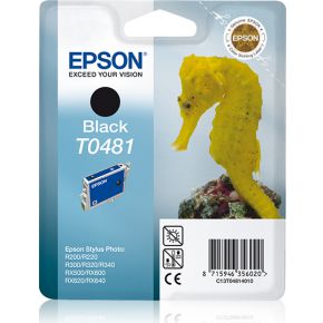 Image of Epson inktpatroon Black T0481