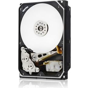 Western Digital Ultrastar He10 3.5 10000 GB SATA III