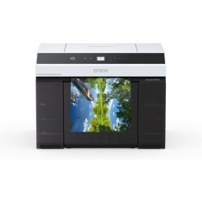 Epson C11CJ33301BX fotoprinter