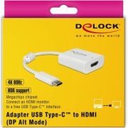 Delock-63937-USB-Type-C-Adapter-naar-HDMI-DP-Alt-Mode-4K-60-Hz-met-HDR-functie