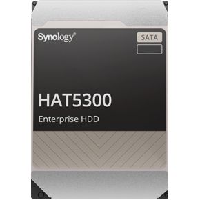 Synology HAT5300-4T interne harde schijf 3.5 4000 GB SATA III