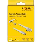 Delock-86703-Magnetic-Thunderbolt-3-USB-C-kabel-4K-60-Hz-male-naar-male-haaks-1-20-m