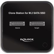 Delock-64178-M-2-dockingstation-voor-2-x-M-2-SATA-SSD-met-kloonfunctie