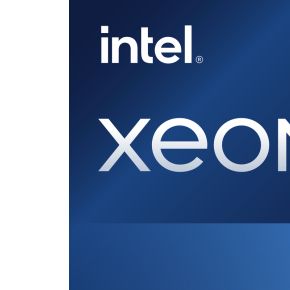 Intel Xeon w7-2495X processor 2,5 GHz 45 MB Smart Cache