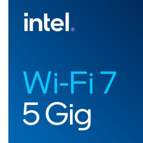 Intel Wi-Fi 7 BE200 Intern WLAN / Bluetooth 5800 Mbit/s