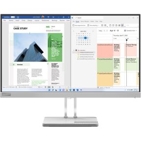 Lenovo L25e-40 computer monitor 62,2 cm (24.5 ) 1920 x 1080 Pixels Full HD Grijs