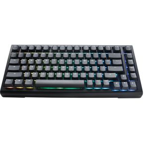 Ducky Tinker 75 USB Amerikaans Engels Zwart toetsenbord