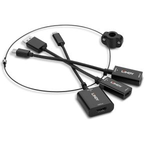 Lindy 38304 video kabel adapter HDMI Type A (Standaard) Zwart
