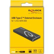 Delock-42003-externe-behuizing-voor-M-2-SATA-SSD-met-USB-Type-C-female
