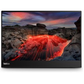 Lenovo ThinkVision M14t 14" IPS 60Hz LED Touchscreen Zwart monitor