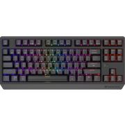 Bundel 1 GENESIS Thor 230 TKL Gamen USB...