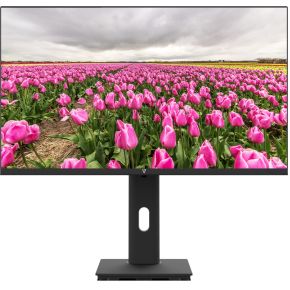 V7 L238V0-HAS-E computer monitor 60,5 cm (23.8 ) 1920 x 1080 Pixels Full HD LED Zwart