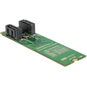 Delock 62961 Converter M.2 Key B+M male > 2 x SATA 7-pins male met RAID