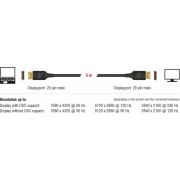 Delock-85658-DisplayPort-kabel-8K-60-Hz-1-m-DP-8K-gecertificeerd