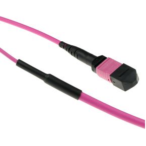 ACT DC5000 Glasvezel kabel 25 m LSZH OM3/OM4 MPO/MTP Violet