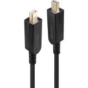 Lindy-38485-DisplayPort-kabel-70-m-Mini-DisplayPort-Zwart