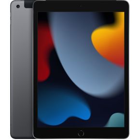 Apple iPad 4G LTE 64 GB 25,9 cm (10.2 ) Wi-Fi 5 (802.11ac) iPadOS 15 Grijs
