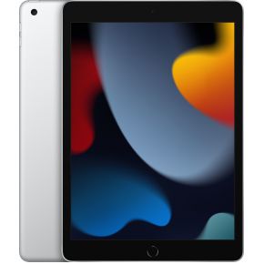 Apple iPad 256 GB 25,9 cm (10.2 ) Wi-Fi 5 (802.11ac) iPadOS 15 Zilver