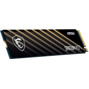 MSI SPATIUM M371 1TB M.2 SSD